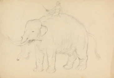Elefant mit Reiter