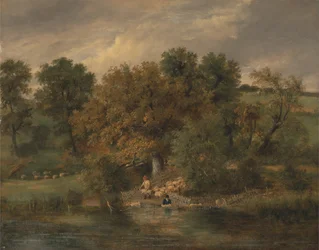 Schafwäsche in Postwick Grove, Norwich