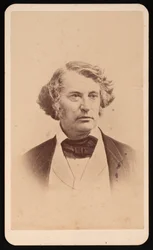 Porträt von Charles Sumner 1811-1874, vor 1874