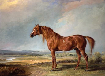 Kopenhagen, Wellingtons Lieblingspferd, in einer Landschaft