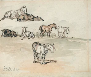 Studien von Pferden