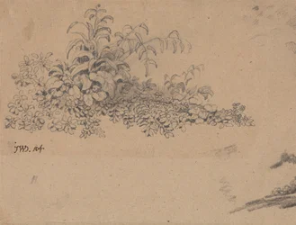 Studie von Unterholz