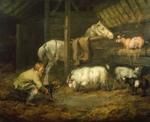Junger Junge und sein Hund in einem Stall mit einem Pferd und Schafen
