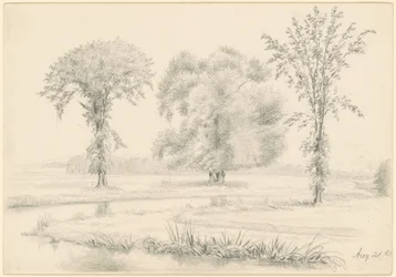 Landschaft mit drei Bäumen