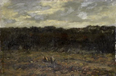 Moor auf der Heide