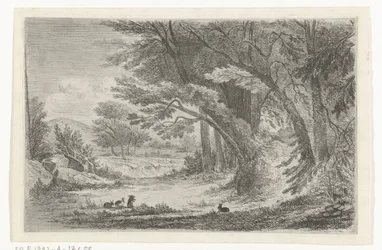 Waldrand mit Kaninchen