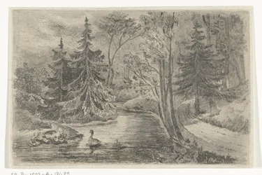 Waldweg bei einem Teich mit Enten