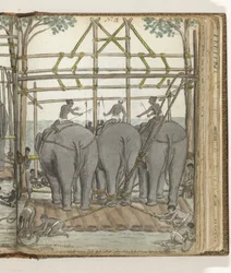 Zähmung eines wilden Elefanten im provisorischen Stall, Rückansicht