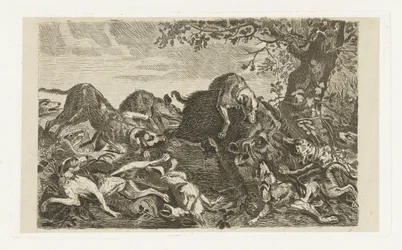 Hundejagd auf ein Wildschwein