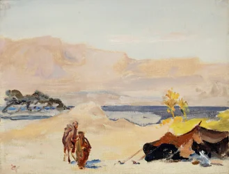 Das Tote Meer. Von einer Reise nach Palästina