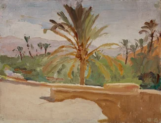 Biskra (Oase mit Palmen)