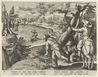 Jagd auf Krähen und Stare