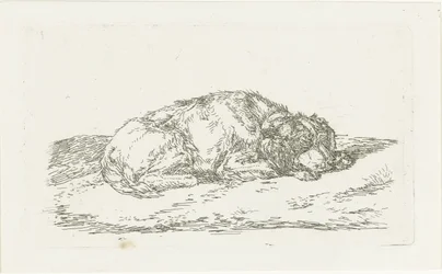 Schlafender Hund mit Kopf auf den Vorderpfoten ruhend