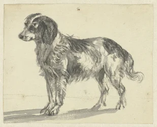 Stehender Hund