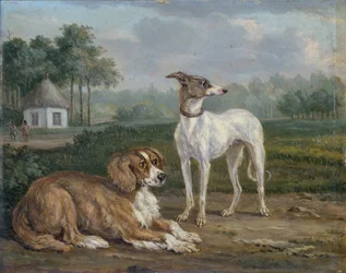 Zwei Hunde