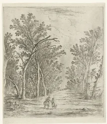 Waldweg