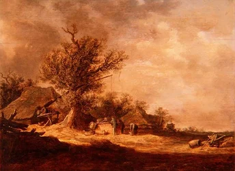 Landschaft in den Dünen