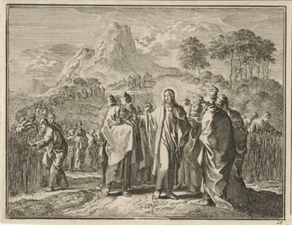 Ährenpflücken am Sabbat