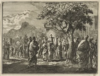 Zachäus im Feigenbaum