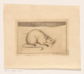 Maus