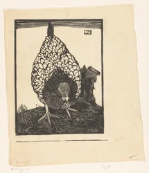 Silberwyandotte