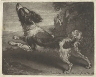 Rennender Hund, möglicherweise ein Spaniel