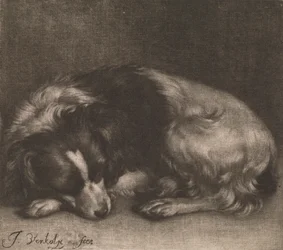 Ein schlafender Hund