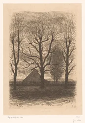 Bauernhof zwischen hohen Bäumen, Ewijkshoeve