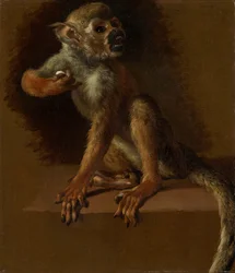 Ein sitzender Affe