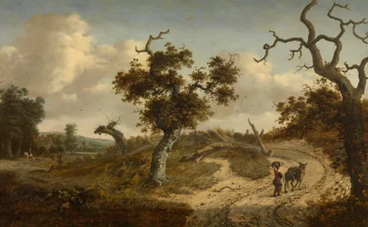 Landschaft