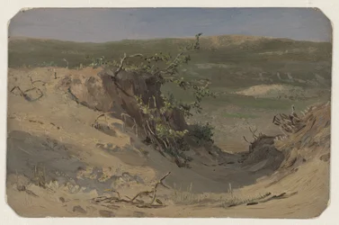 Dünenpfanne