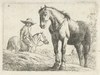 Ein Pferd, ein Mann zu Pferd im Hintergrund