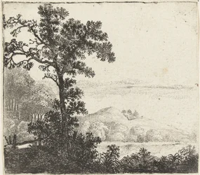Landschaft mit Baum am Flussufer