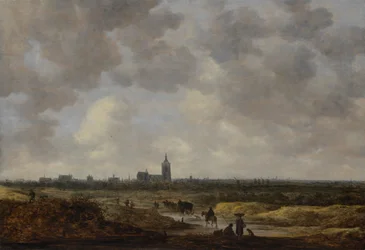 Ansicht von Den Haag aus Nordwesten