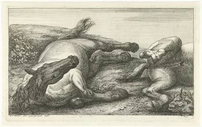 Zwei gefallene Pferde, das linke von vorne gesehen (Gefallene Pferde)