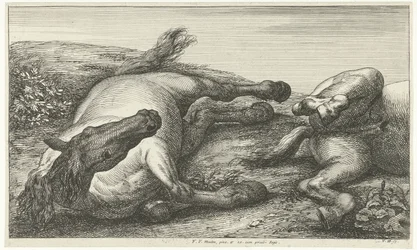 Zwei gefallene Pferde, das linke von vorne gesehen (Gesneuvelde paarden)