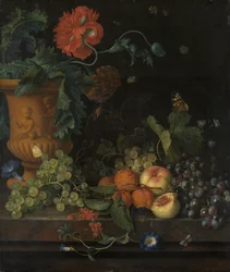 Terrakotta-Vase mit Blumen und Früchten