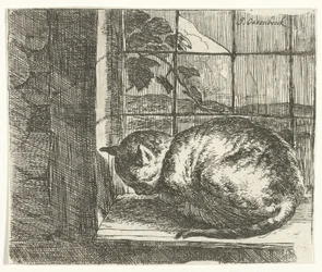 Katze im Fensterrahmen
