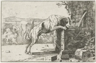 Hund bei einem Brunnen