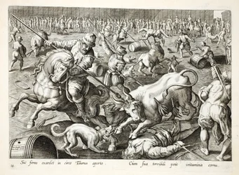 Eine Massenstierkampf in einem Gehege, Illustration aus 