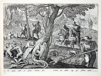 Katzenjagd mit Hunden, Illustration aus 