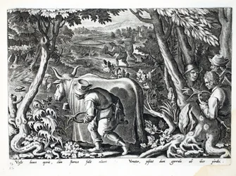 Jagd auf Stare und Rebhühner, Illustration aus 