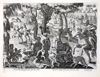 Affenjagd auf dem Land, Illustration aus 