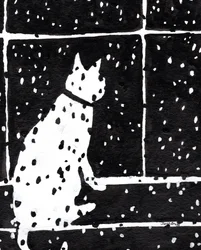Katze im Fenster während eines Schneesturms, um 2019