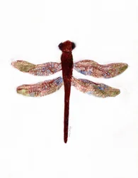 Libelle auf Creekside Lane, um 2019
