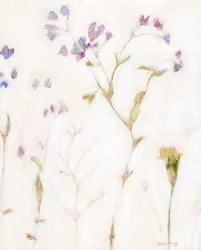 Leichtes Phlox und Nelke