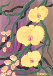 Leuchtend gelbe Orchideen