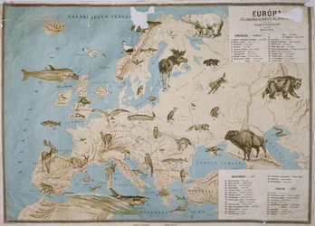 Karte der Tiere Europas