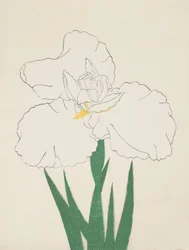 Fuji-No-Yuki, Nr. 13, 1890