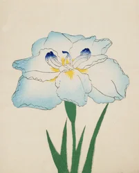 Issui-No-Gin, Nr. 34, 1890